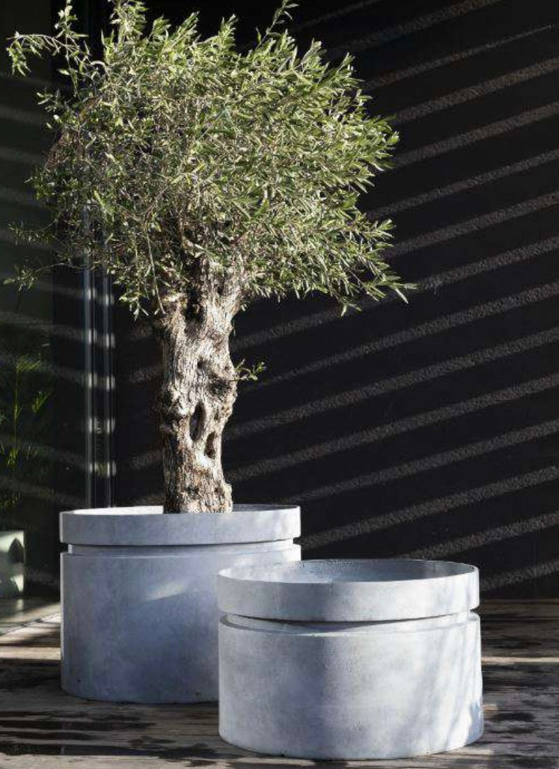 Betonnen plantenpot m en l